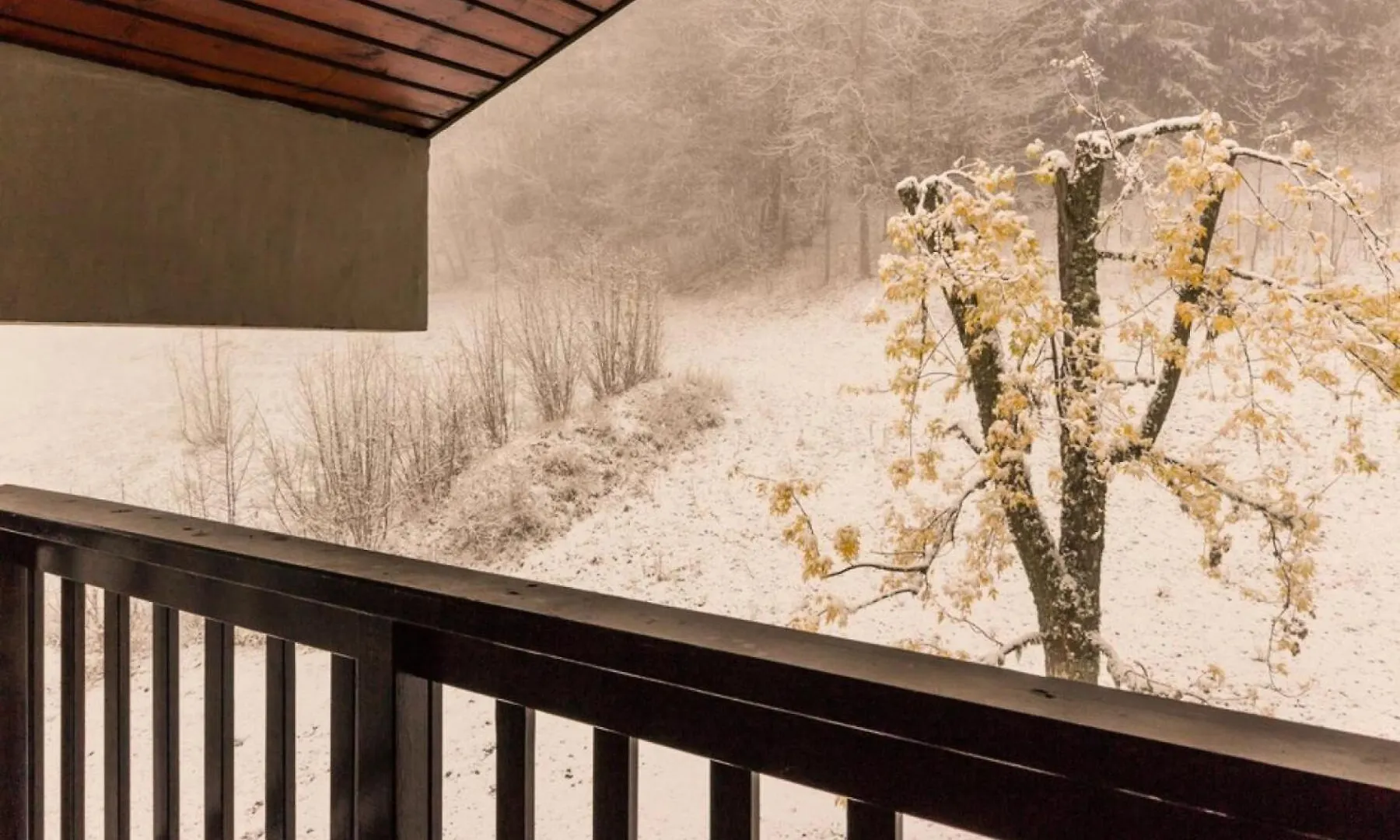 Le Chalet De Montchavin - Bel Appartement Duplex Proche Du Centre Mae-4254 La Plagne-Tarentaise 0*,